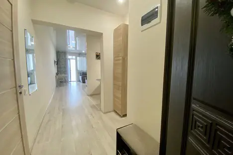 1-комнатная квартира в Сочи, микрорайон Бытха, улица Бытха, 41