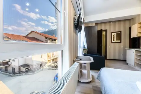 1-комнатная квартира в Красной Поляне, Калиновая улица, 9А