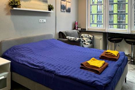 1-комнатная квартира в Москве, Москва, Автозаводская улица, 23с931к3, м. Технопарк