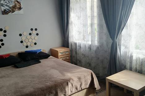 Двухкомнатная квартира в аренду посуточно в Кисловодске по адресу улица Гагарина, 12