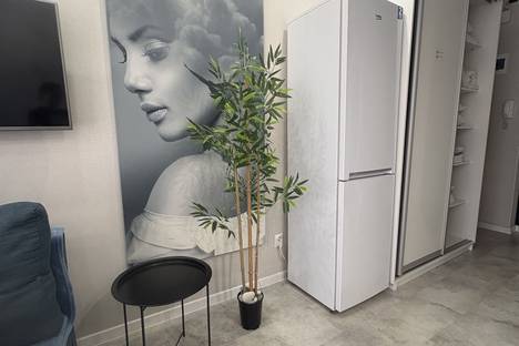 Однокомнатная квартира в аренду посуточно в Адлере по адресу улица Гастелло, 27Бк1