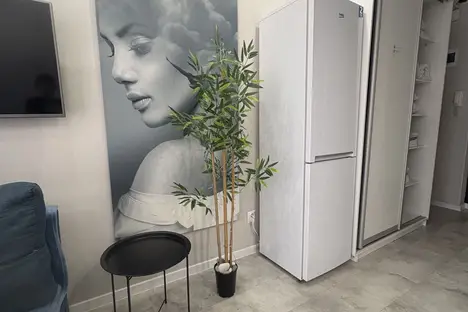 1-комнатная квартира в Адлере, улица Гастелло, 27Бк1