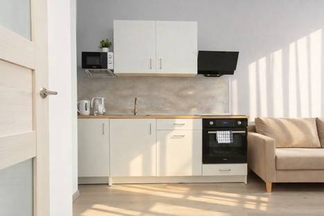 Двухкомнатная квартира в аренду посуточно в Санкт-Петербурге по адресу Железнодорожный проспект, 14к1, метро Ломоносовская