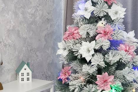 Однокомнатная квартира в аренду посуточно в Тольятти по адресу ул. Горького, 43