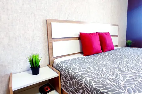 1-комнатная квартира в Новосибирске, Новосибирск, ул. Блюхера, 47, м. Студенческая