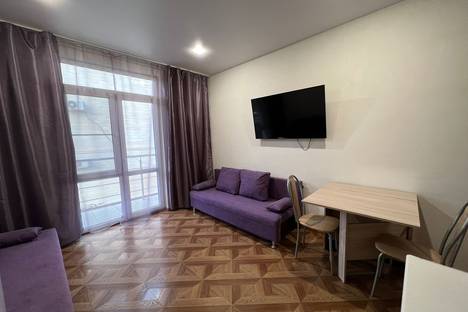 Однокомнатная квартира в аренду посуточно в Сириусе по адресу Весёлая улица, 28А