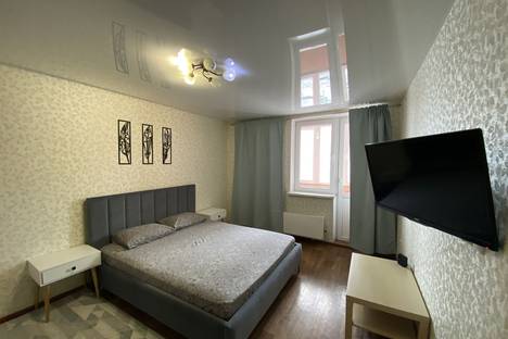 Однокомнатная квартира в аренду посуточно в Казани по адресу проспект Ямашева, 35Б