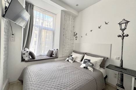 1-комнатная квартира в Санкт-Петербурге, Казанская улица, 42