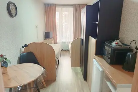 Комната в Санкт-Петербурге, Санкт-Петербург, улица Жуковского, 28, м. Площадь Восстания