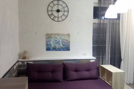 Однокомнатная квартира в аренду посуточно в Светлогорске по адресу улица Гагарина дом 5 к 3