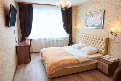 Однокомнатная квартира в аренду посуточно в Великих Луках по адресу переулок Пескарёва, 1к1