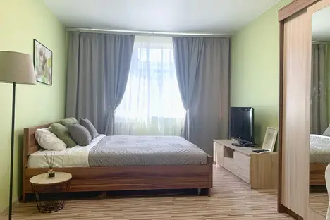 1-комнатная квартира в Санкт-Петербурге, Наличная улица, 45к1