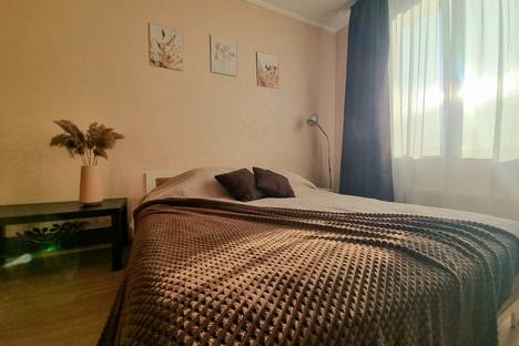 Однокомнатная квартира в аренду посуточно в Калининграде по адресу Черниговская улица, 16