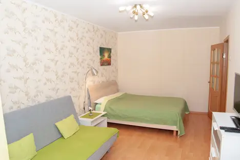 1-комнатная квартира в Великом Новгороде, Софийская сторона, Тихвинская улица, 2, подъезд 1