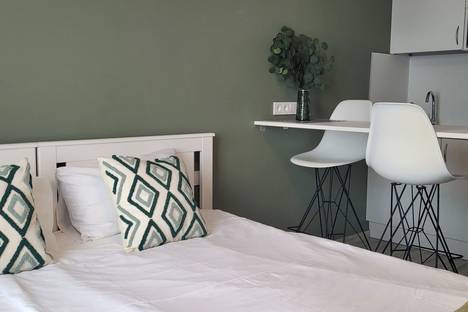 Однокомнатная квартира в аренду посуточно в Санкт-Петербурге по адресу улица Салова, 61