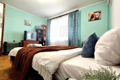 1-комнатная квартира в Домодедове, Домодедово, микрорайон Северный, Овражная улица, 1к2