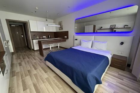 Однокомнатная квартира в аренду посуточно в Санкт-Петербурге по адресу улица Хошимина, д 16