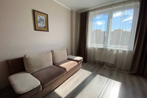 Однокомнатная квартира в аренду посуточно в Калининграде по адресу улица Липовая Аллея, 7