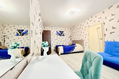 Однокомнатная квартира в аренду посуточно в Санкт-Петербурге по адресу Ново-Александровская улица, 14, метро Пролетарская