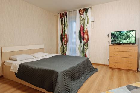 2-комнатная квартира в Петрозаводске, улица Софьи Ковалевской, 16