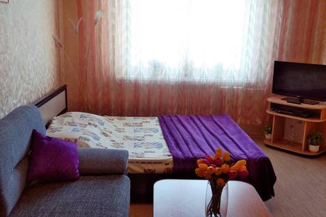 Трёхкомнатная квартира в аренду посуточно в Гродно по адресу улица Пушкина, 29
