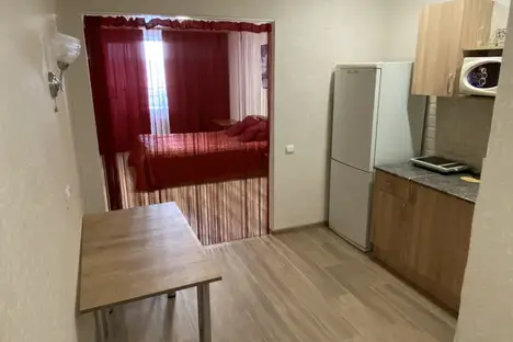 1-комнатная квартира в Саратове, ул. Лопатина Гора, 14к1