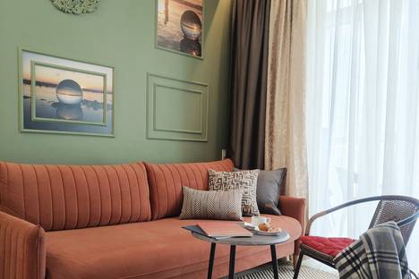 2-комнатная квартира в Шушарах, Кокколевская улица, 13с4