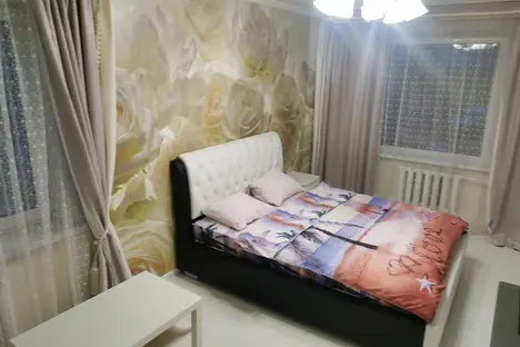 1-комнатная квартира в Петропавловске-Камчатском, улица Виталия Кручины, 6/4