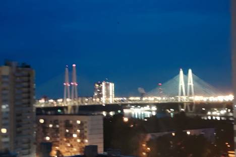 1-комнатная квартира в Санкт-Петербурге, Санкт-Петербург, Русановская улица, 11