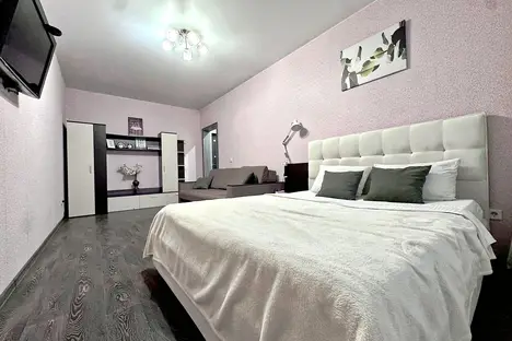 1-комнатная квартира в Краснодаре, Краснодар, улица Красных Партизан, 1/3к6