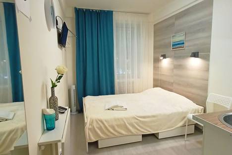 1-комнатная квартира в Санкт-Петербурге, проспект Луначарского, 70к1