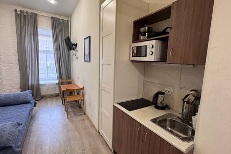 1-комнатная квартира в Санкт-Петербурге, Рузовская улица, 29, м. Пушкинская
