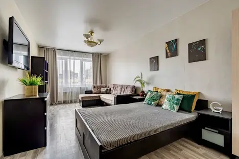 1-комнатная квартира в Санкт-Петербурге, аллея Поликарпова, 10к3, м. Пионерская