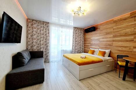 Однокомнатная квартира в аренду посуточно в Новосибирске по адресу Лазурная улица, 28