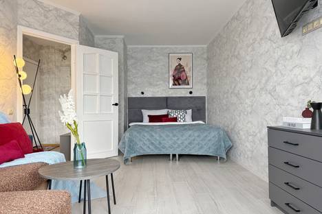 1-комнатная квартира в Пушкине, Красносельское шоссе, 15 1-комнатная квартира в Пушкине, Красносельское шоссе, 15