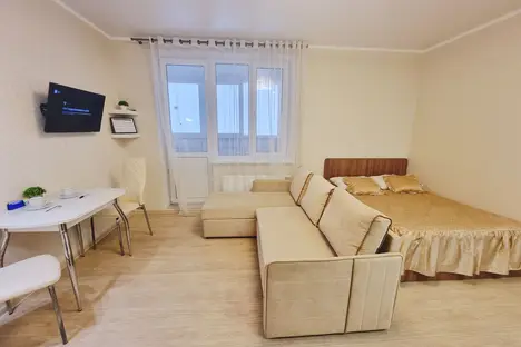 1-комнатная квартира в Казани, Уютная улица, 10