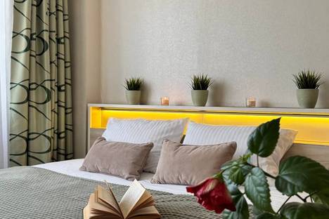 1-комнатная квартира в Нижнем Новгороде, Окская улица, 2, м. Ленинская