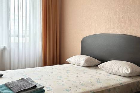 Однокомнатная квартира в аренду посуточно в Самаре по адресу Владимирская улица, 22