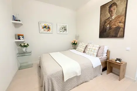 1-комнатная квартира в Санкт-Петербурге, Центральный р-н