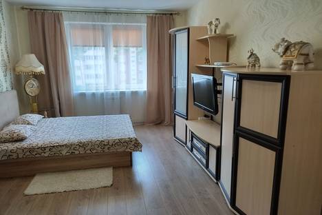 1-комнатная квартира в Солигорске, Солигорск, улица Константина Заслонова, 70