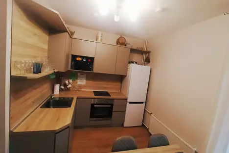 1-комнатная квартира в Санкт-Петербурге, улица Савушкина, 104, м. Старая Деревня