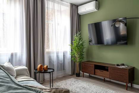 1-комнатная квартира в Санкт-Петербурге, наб. реки Фонтанки, 26А