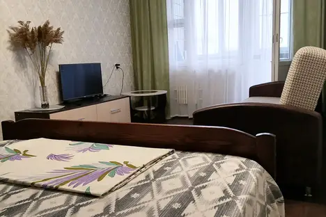 1-комнатная квартира в Нижнем Новгороде, Моторный пер., 2