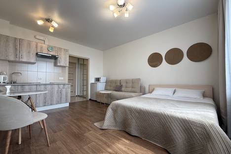 1-комнатная квартира в Новосибирске, Сибирская ул., 42, м. Площадь Гарина-Михайловского