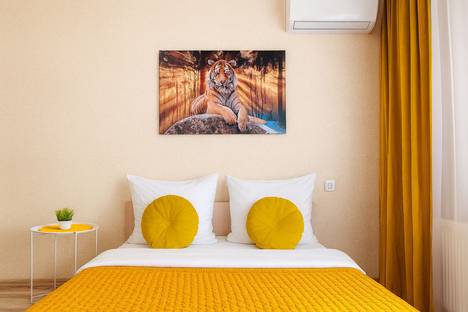 Однокомнатная квартира в аренду посуточно в Ростове-на-Дону по адресу ул. Висаитова, 2/10