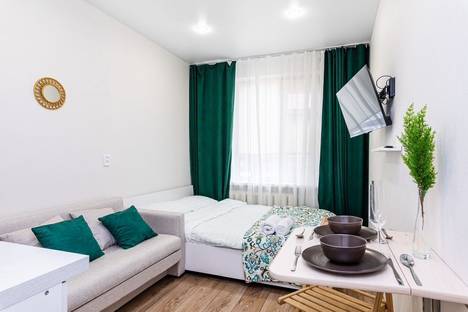 1-комнатная квартира в Казани, ул. Заря, 26