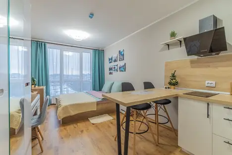 1-комнатная квартира в Парголове, Толубеевский пр-д, 8к2