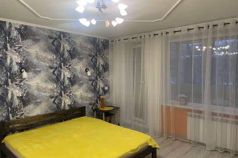 Двухкомнатная квартира в аренду посуточно в Санкт-Петербурге по адресу ул. Академика Байкова, 11к3