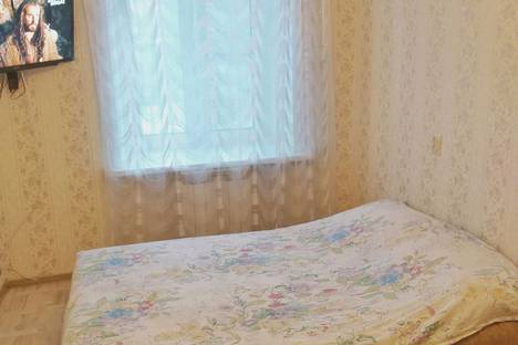 Двухкомнатная квартира в аренду посуточно в Нижнем Новгороде по адресу ул. Белинского, 85
