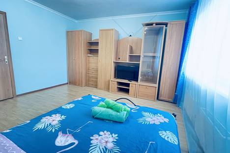 Однокомнатная квартира в аренду посуточно в Балашихе по адресу ул. Дмитриева, 4